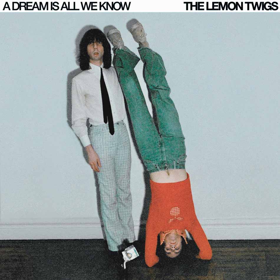 lemon twigs